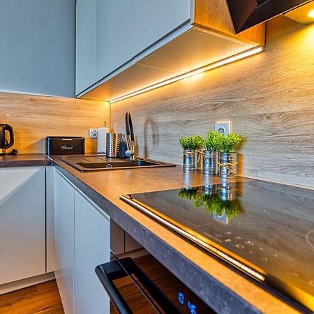Apartament Pod Stogiem Izerskim - 5D Apartamenty Świeradów-Zdrój Exterior foto